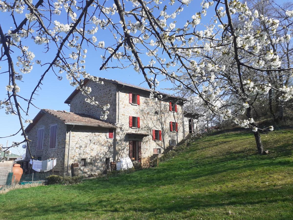 Ca Gennara Agri B&B Porretta Terme Eksteriør bilde