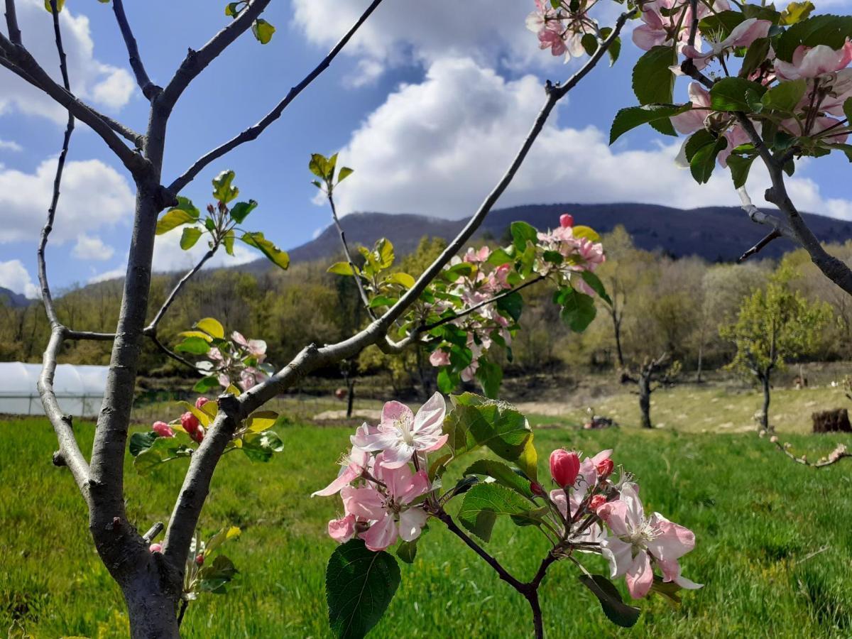 Ca Gennara Agri B&B Porretta Terme Eksteriør bilde