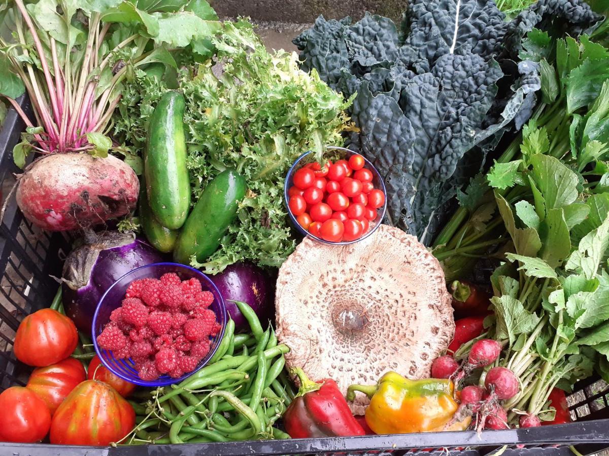 Ca Gennara Agri B&B Porretta Terme Eksteriør bilde