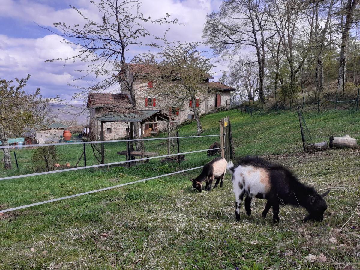 Ca Gennara Agri B&B Porretta Terme Eksteriør bilde