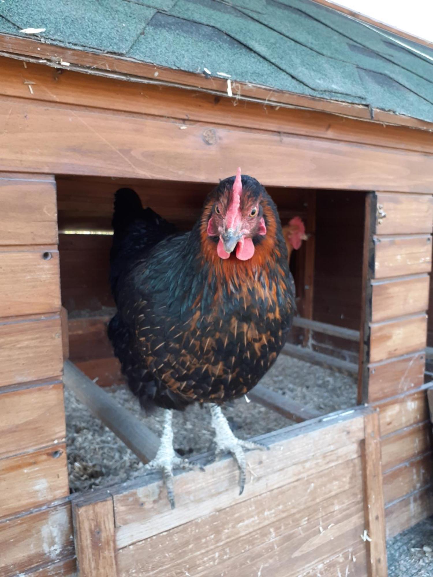 Ca Gennara Agri B&B Porretta Terme Eksteriør bilde